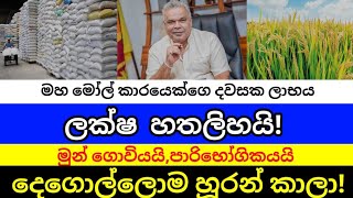 හාල් මෝල්ලුත් ජනතාව හූරන් කයි..🐸