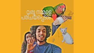 വരൂ നമ്മുടെ വീട്ടിലെ petsinna കാണാം 🐦🐈🐣 plzzz support \u0026subscrib 🙏🙏🙏