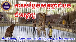 ការសម្តែងសត្វខ្លាដំបង ដ៏អស្ចារ្យ | Amazing tiger and stick figure performance