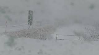 ウェザーリポート動画0204(ドカドカ雪)@秋田県由利本荘市(12:15頃)