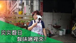 【化糞池臭味】炎炎夏日 臭味哪裡來？