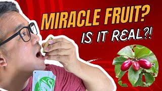 I Tried the Miracle Fruit to Make Sour Food Taste Sweet!