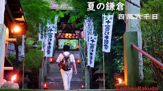 [4K] Kamakura in summer / Kannon in the early morning (Please turn on the subtitles to watch)