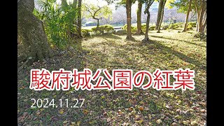 駿府公園の紅葉 2024.11.27