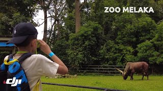 Zoo Melaka | DJI 4K