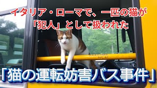 「猫の運転妨害バス事件」