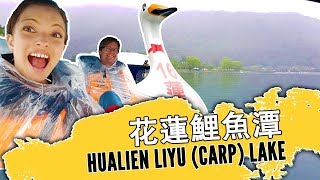 What to do in Hualien Taiwan | Beautiful Liyu Lake | Taiwan Travel Guide 花蓮鯉魚潭，台灣最美的地方？