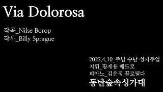 [동탄 숲속 성가대] 주님 수난 성지주일 - Via Dolorosa