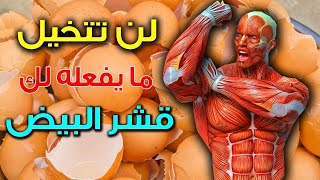 ماذا سيحدث لجسمك إن تناولت قشر البيض يوميا ؟