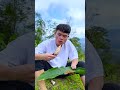 Măng nướng? #shorts #tiktok #foryou #xuhuong #fyp #langlieu