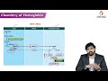 114. o2 binding to hemoglobin