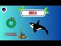 abc sea animals song 🐠🐙🐳 a to z underwater adventure for kids abcd kids