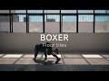 boxer uniq video