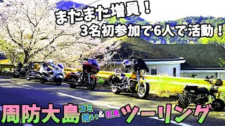 花見だ！初参加者加入の第5回周防大島ゴミ拾いツーリング！【モンキー】【ZRX】【ダエグ】【ハーレー】【スカイウェイブ】【ドラッグスター】【ラブジアース】【ボランティア】【バイク女子】【SDGs】