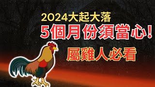 生肖雞必看！2024年運勢有好有壞，這5大關鍵月份要掌握！ #2024年屬雞運程 #2024生肖雞運勢 #2024属鸡运势 #2024属鸡运程 #生肖鸡2024 #2024生肖鸡运势 #生肖雞 #属鸡