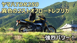 Yamaha TDR250 Ultimate Dual