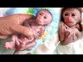 newborn baby monkey milk bottle..