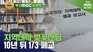 지역대학 벚꽃엔딩 실체 보고서 | 2021년