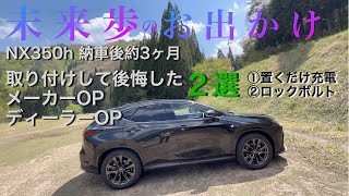 NX350h納車から3ヶ月 取り付けして後悔した２選