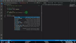 Python Console How to Hide Password Input