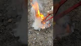 The Incredible Reaction of Melted Aluminum on Goat Food!