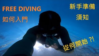 Free diving 自由潛水 如何入門 系統選擇 課前準備 新手須知 資訊分享