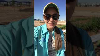 IDEA Edgemere Farm Update #2: Zucchini Germination