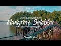 KELILING BONTANG | Bontang mangrove park Cinematic video Video - @andytaggart_ @slayersco