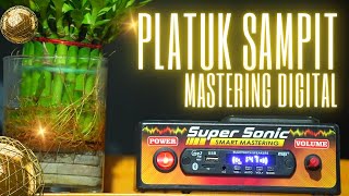 PLATUK SAMPIT‼️lebih mudah di rekam burung dengan suara mastering digital