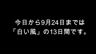 今日のマヤ暦からのメッセージ　2023.9.12