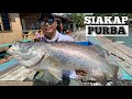 Siakap dengan Kerapu Hybrid sini Besar Bas!! Rod Abu Garcia Diablo PE4 dengan Shimano Tranx 300A