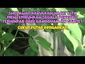 KUMPULAN SHOLAWAT VIRAL TERBARU 2024 | SHOLAWAT NABI PENARIK REJEKI | SHOLAWAT JIBRIL, NARIYAH 07