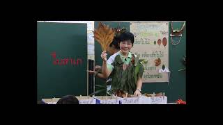 CBE.EP01/6.การพัฒนาหลักสูตรแบบฐานสมรรถนะ