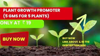 Plant Growth Promoter 5 gms for 5 plants 1