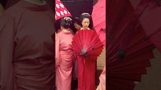 和傘が似合う舞妓さん👘