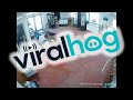 Deer Crashes Through Store || ViralHog