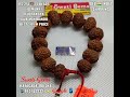 rs.251 only 🕉️ 10 das mukhi rudraksha bracelet 14 beads 💥 heavy fully matured 📱9437022327