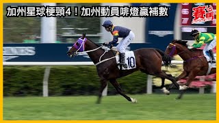 HKJC12月8日沙田草地第六場三班1800米 總場次245 加州動員  艾道拿  加州星球梗頸4！加州動員啡燈贏補數 | 告東尼 | #競馬 #賽馬FactCheck