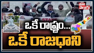 ఒకే రాష్ట్రం, ఒకే రాజధాని | One State One Capital Protest In Virginia, US  | Tolivelugu TV