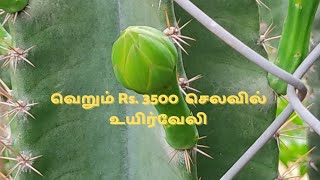 வெறும் Rs.3500 ரூபாய் செலவில் உயிர்வேலி | உயிர்புச் சூழல் நிறைந்த உயிர்வேலி