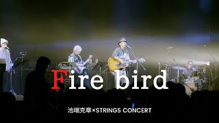 Fire bird/池端克章×Stringsコンサート【北九州芸術劇場大ホール】