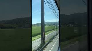 ミホミュージアム行きのバス車窓から見た農村風景/Rural scenery seen from the bus window bound for Miho Museum#shorts