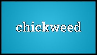 Chickweed Meaning