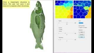 GPU Accelerated Transfer Function Generation for Importance-Driven Volume Visualization