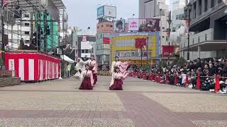 【公式】実践女子大学 YOSAKOI ソーラン部 WING 2023年度逢栞 東京よさこい本祭 @10/8 駅前メイン会場①