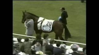 1984 Epsom Derby Secreto extended footage