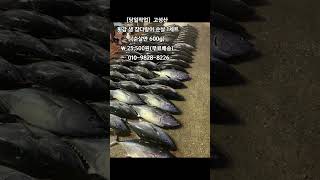 [똑손산지직송]횟감 생 참다랑어 순살 1세트 600g