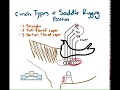 Cinch Types & Saddle Rigging Position