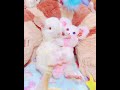 可愛いお人形さんをお迎えしました *^^* エキゾチックアニマル 小動物 cute チンチラ chinchilla ペット 癒し チンチラのいる暮らし アートドール