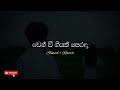 වෙන් වී ගියත් පෙරදා wen wee giyath perada slowed reverb